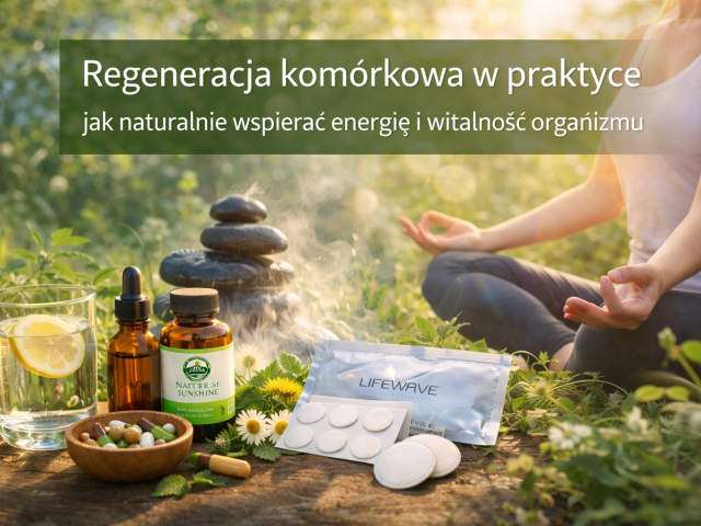 Regeneracja komórkowa w praktyce – jak naturalnie wspierać energię i witalność organizmu